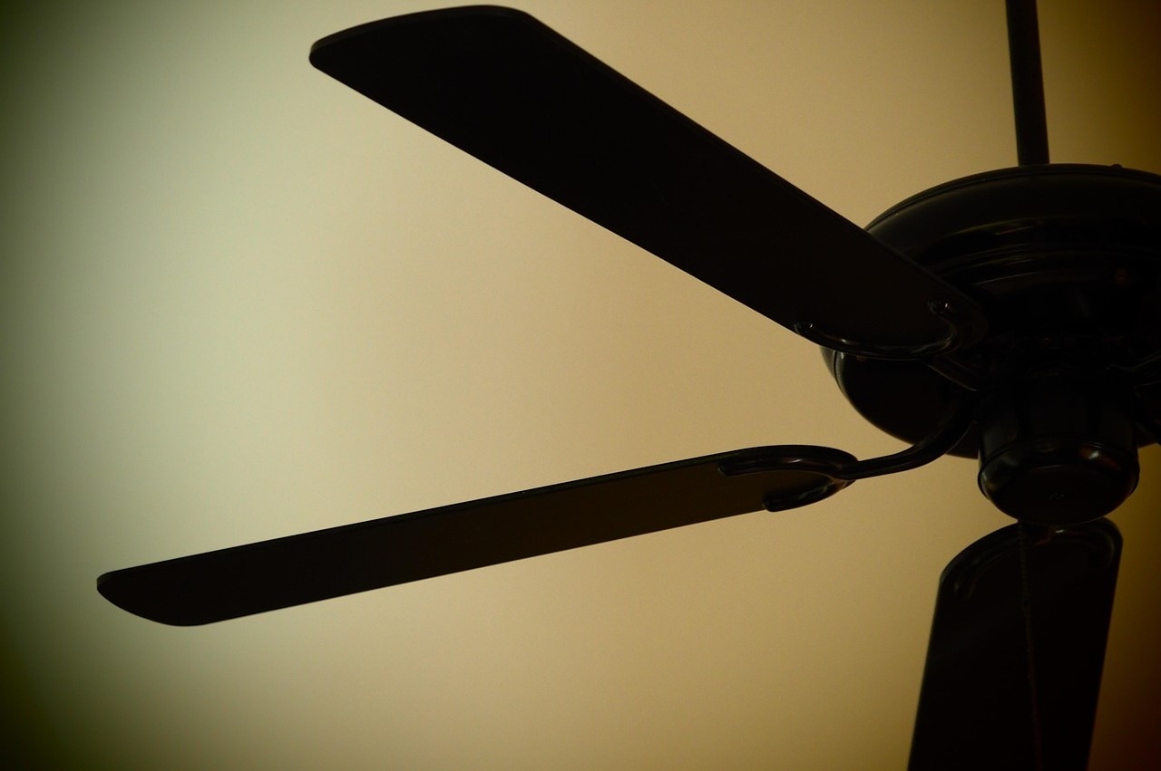 Install Ceiling Fans